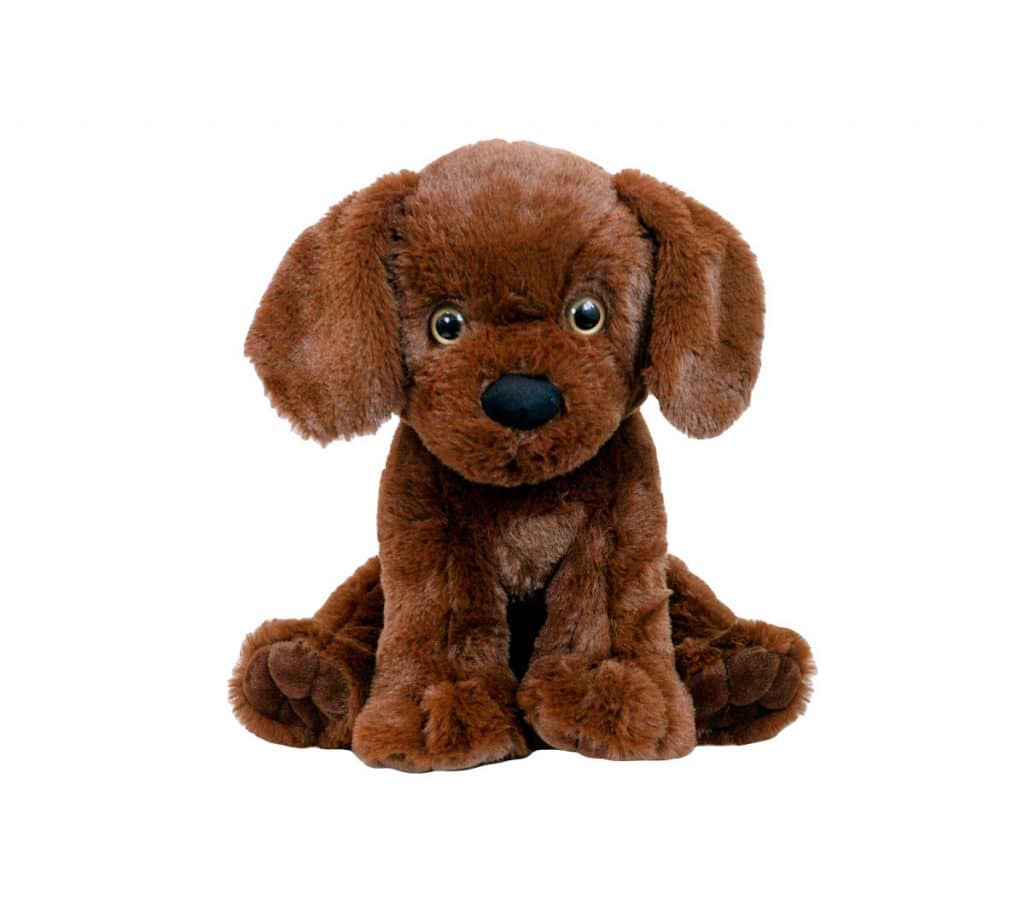 *Chocolate Lab