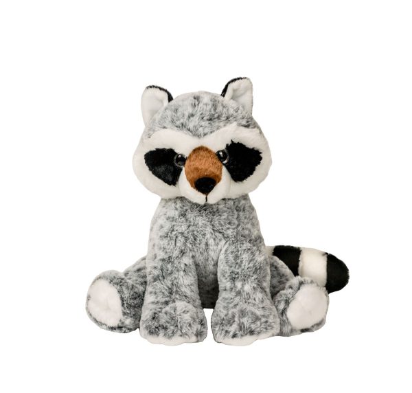 *Raccoon